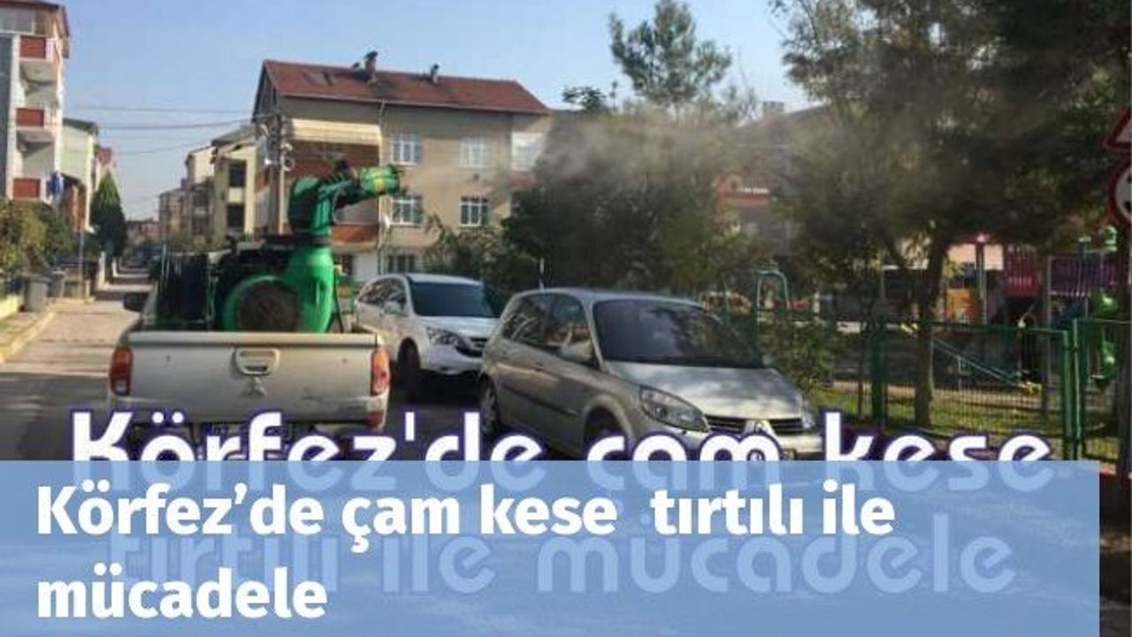 Körfez’de çam kese  tırtılı ile mücadele