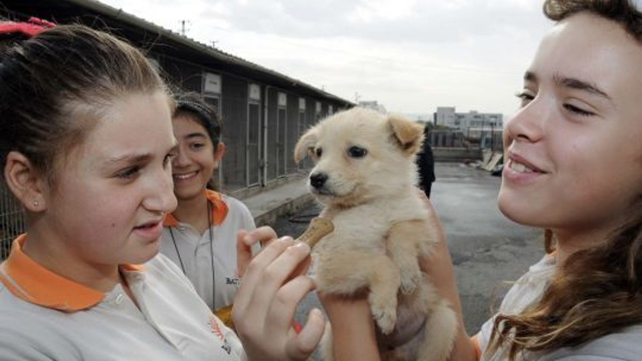Onların da artık birer evi var