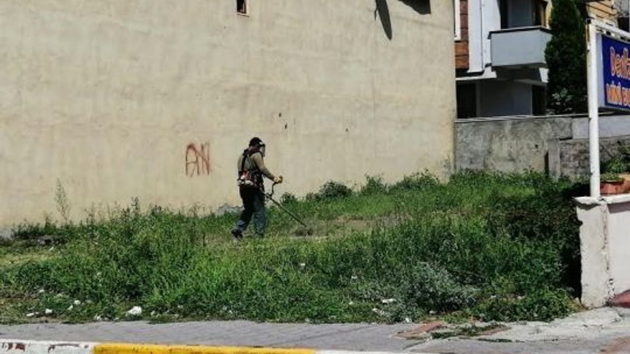 Körfez’de İlaçlama ve Ot Biçme Çalışması