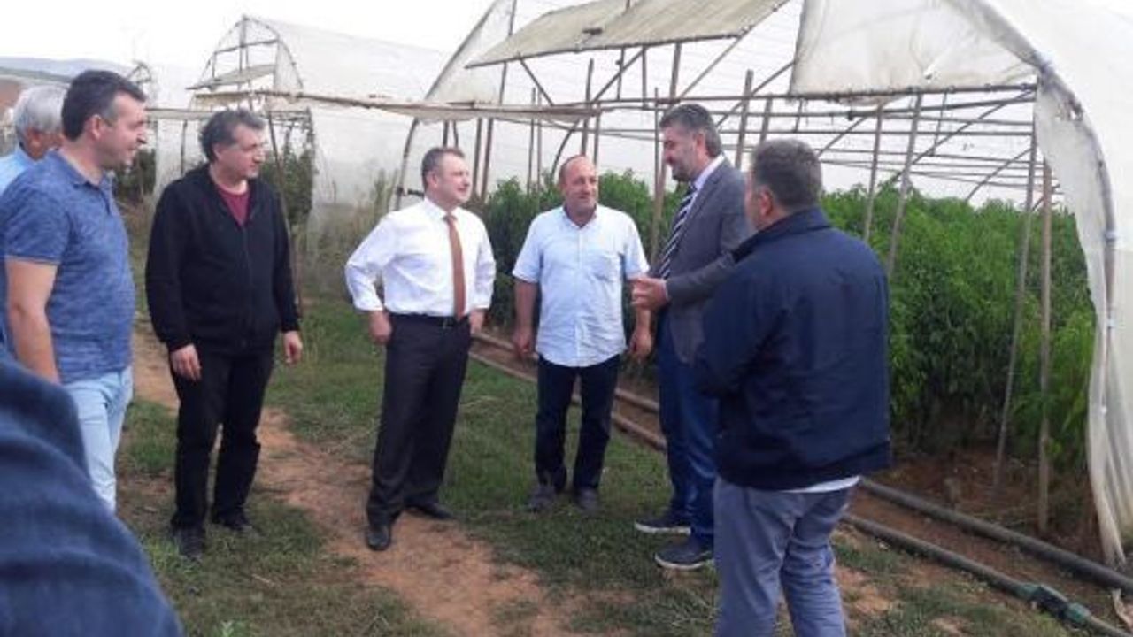 Büyükşehir’den Gebzeli çiftçilere 800 bin TL’lik destek