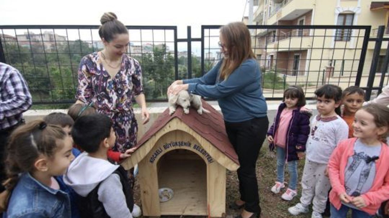 Onların da okullarda sıcak bir yuvası oldu