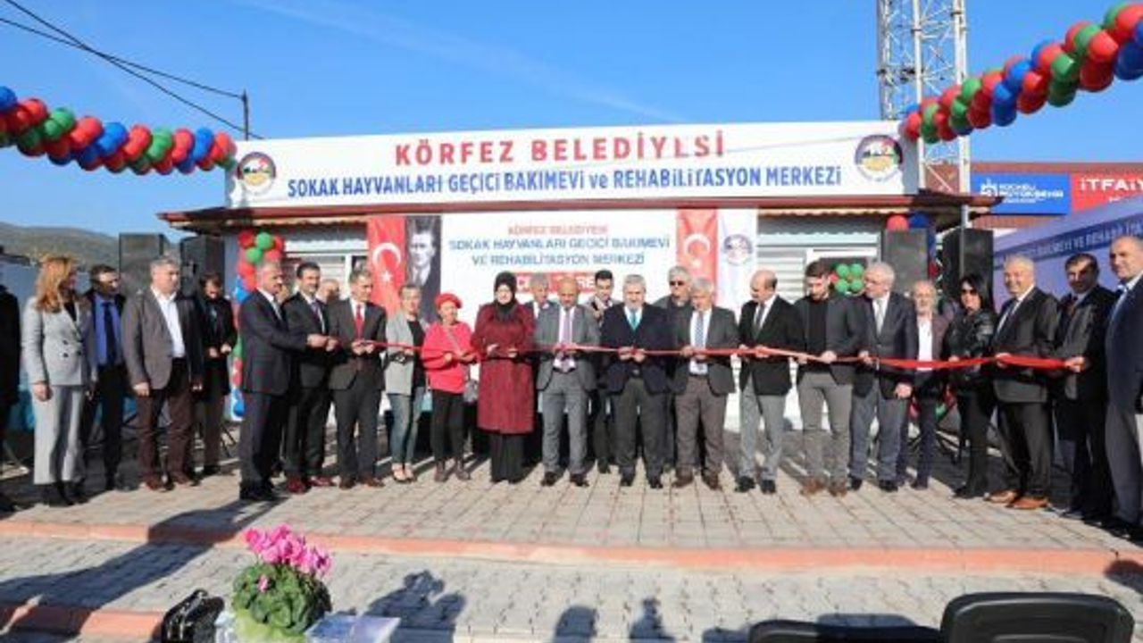 Sokak hayvanları için modern merkez