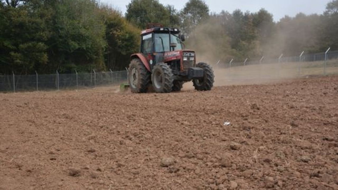 İzmit Belediyesi “Süper meyve” aronya için geri sayıma başladı