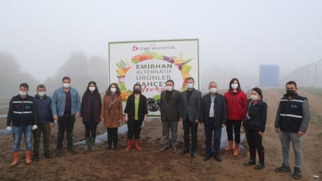 Aronya, üreten belediye İzmit’te toprakla buluştu