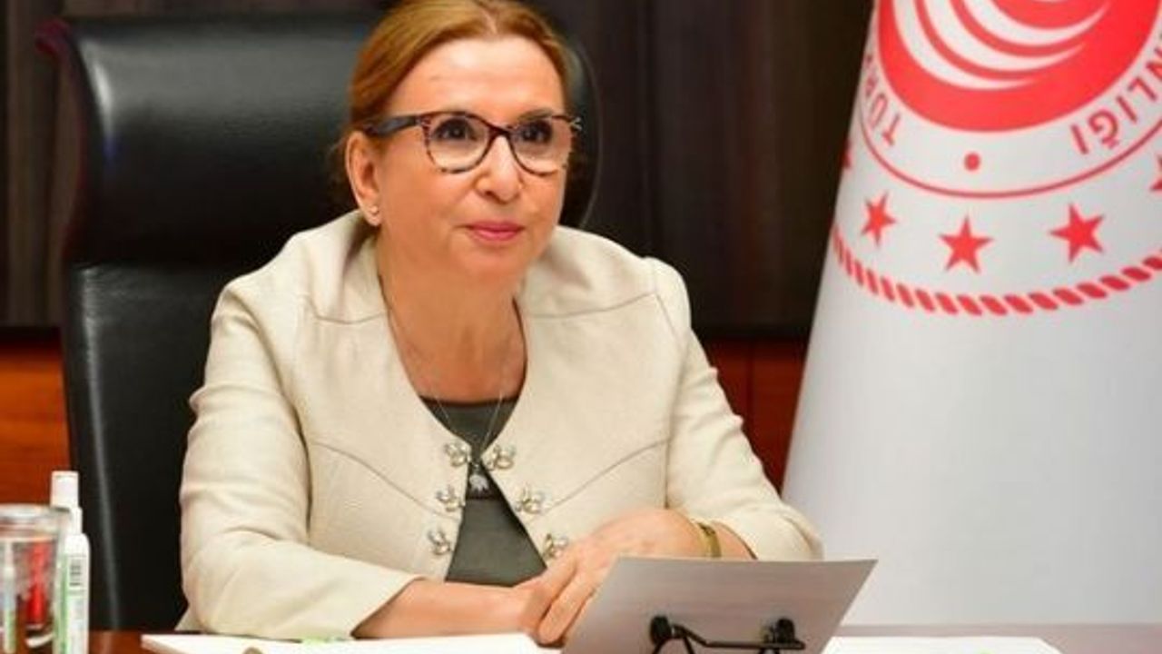 Bakan Pekcan: Birleşik Krallık ile yeni bir dönem başlıyor