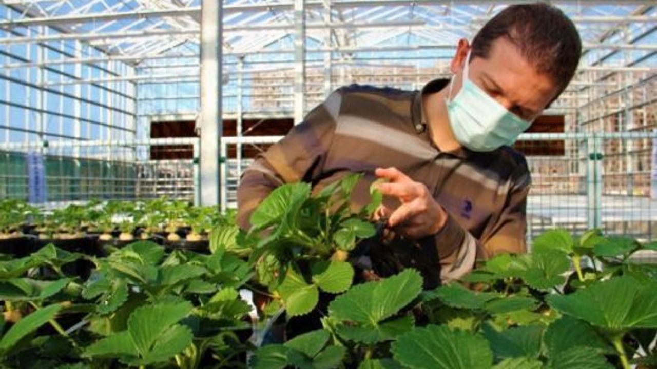 Türkiye, bu uygulamalarla tarımda devrime hazırlanıyor