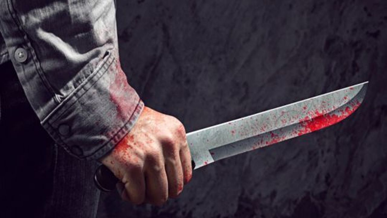 Körfez'de bıçakla cinayet işledi