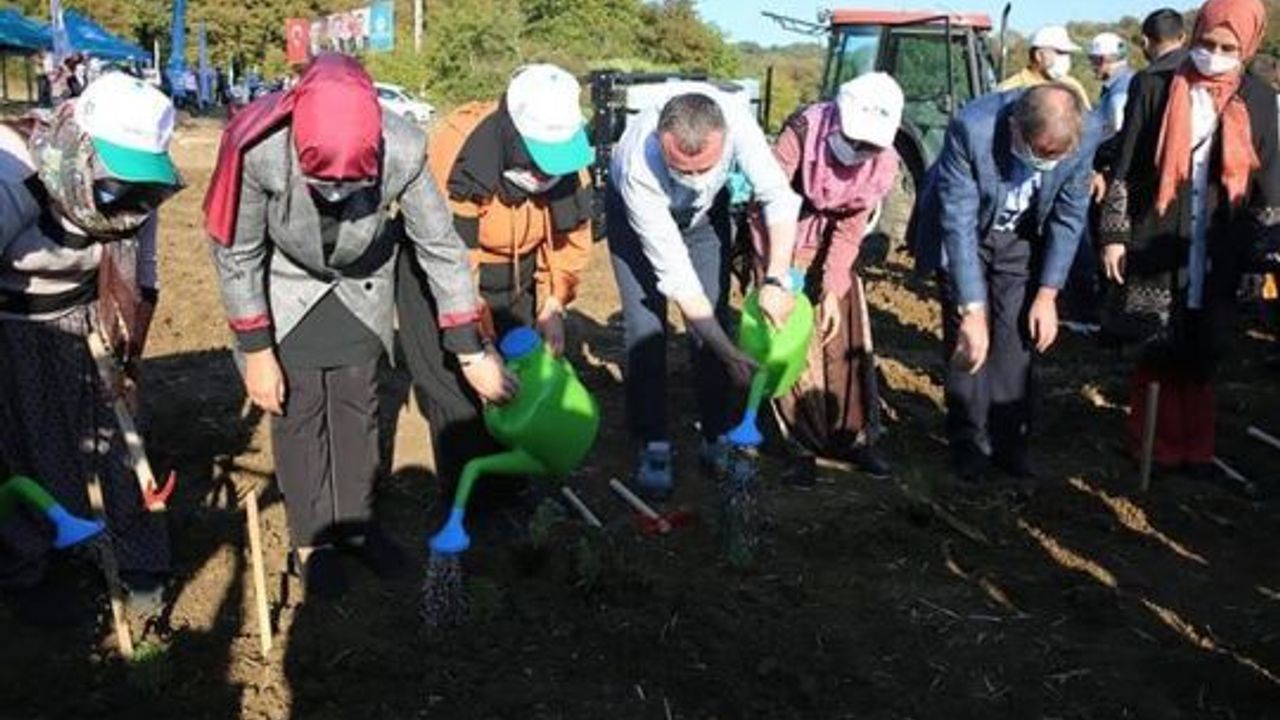 Başkan Büyükakın,  “Tarım ve hayvancılık desteklerinde öncüyüz”