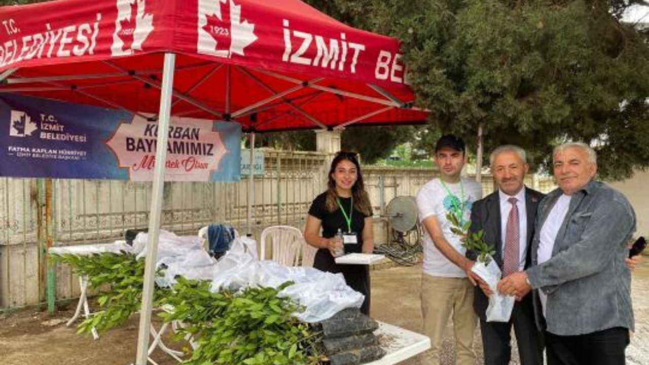 İzmit Belediyesi, mezarlıklarda defne fideleri dağıttı