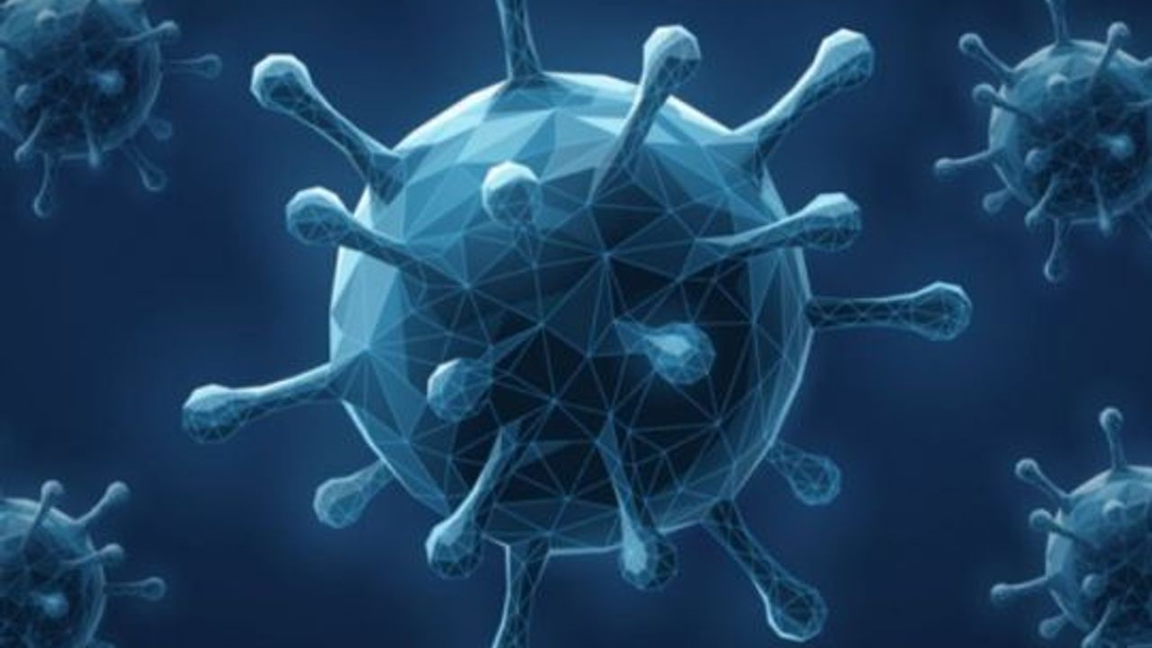 Sakarya’da Maymun Çiçeği Virüsü Şüphesi: Afrika Kökenli Kadın Karantinaya Alındı