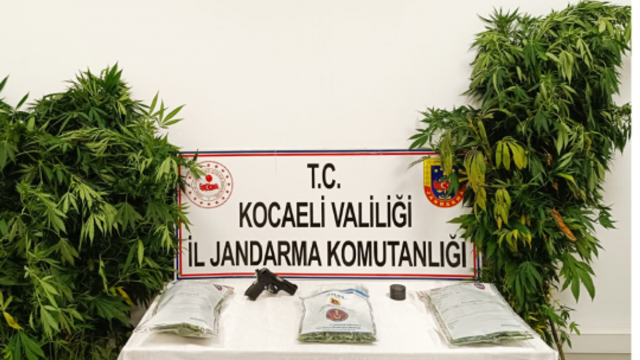 Narkotik Suçlarla Mücadele Ekipleri, Operasyon Sonuçları Açıklandı