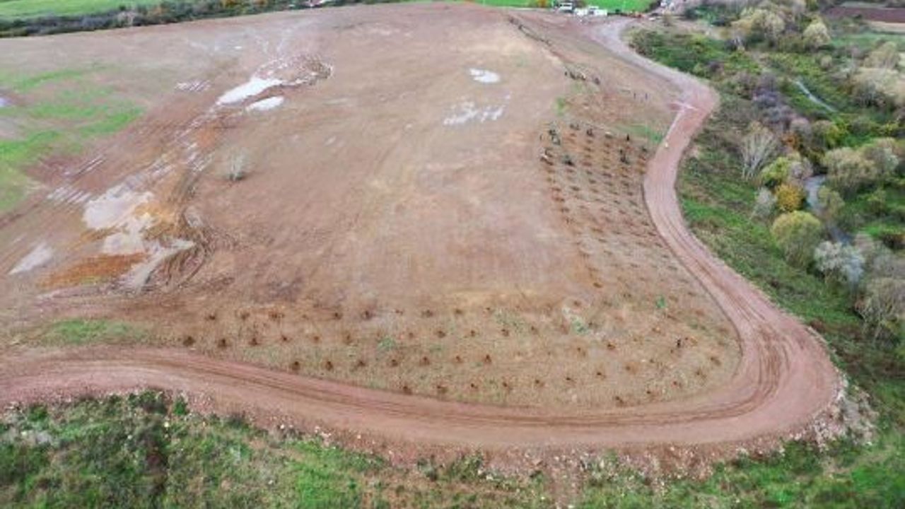 Kocaeli Büyükşehir Belediyesi'nden, Yeşil Düşünce:4 Bin Ağaç Dikiliyor