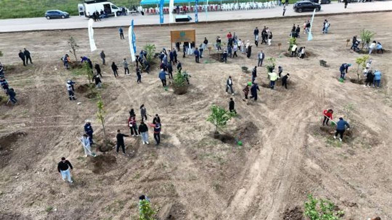 Kocaeli'nde Yeşilin Yükselişi Devam Ediyor