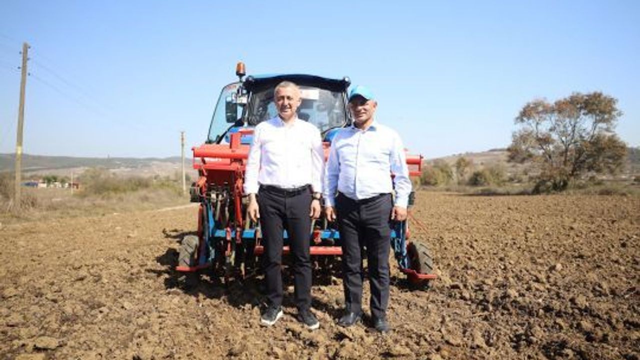 Körfez’de Atıklardan Bereket Doğdu: 5 Ton Buğday Hasat Edildi