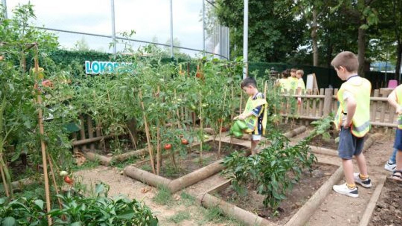  Kocaeli'de Minikler Kendi Ürünlerini Hasat Etmenin Mutluluğunu Yaşadı