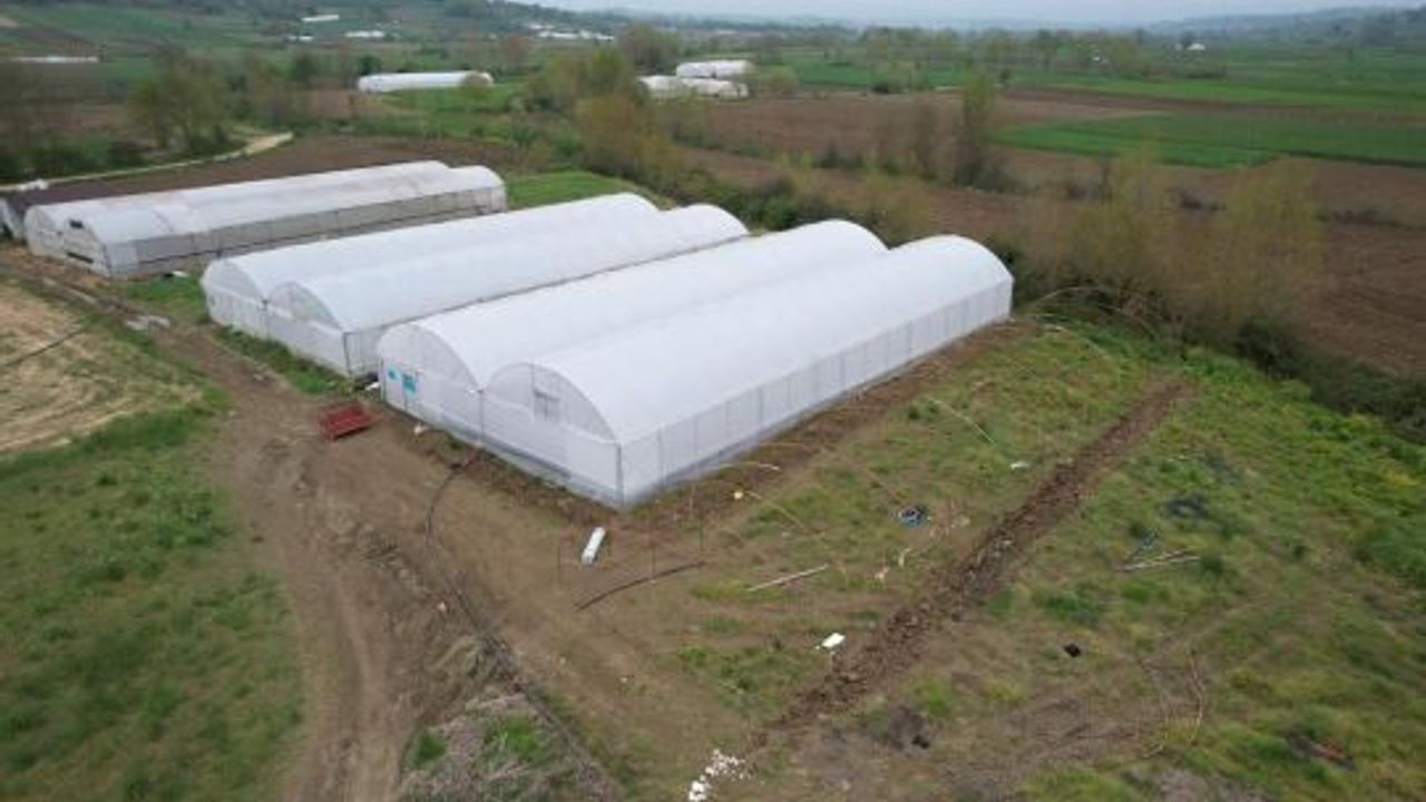 Kocaeli’de Tarıma Güçlü Destek: Modern Seralar Yükseliyor