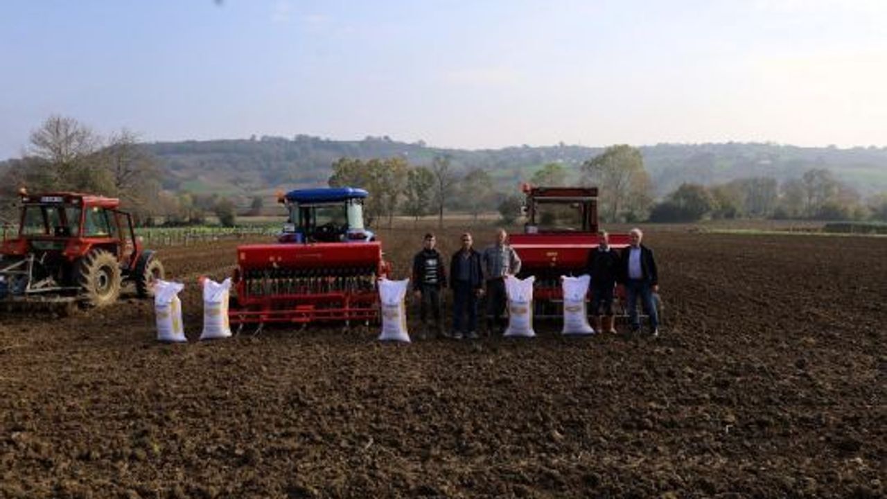 Kocaeli’de Tarıma Güçlü Destek: 1.450 Ton Tohum Toprakla Buluştu