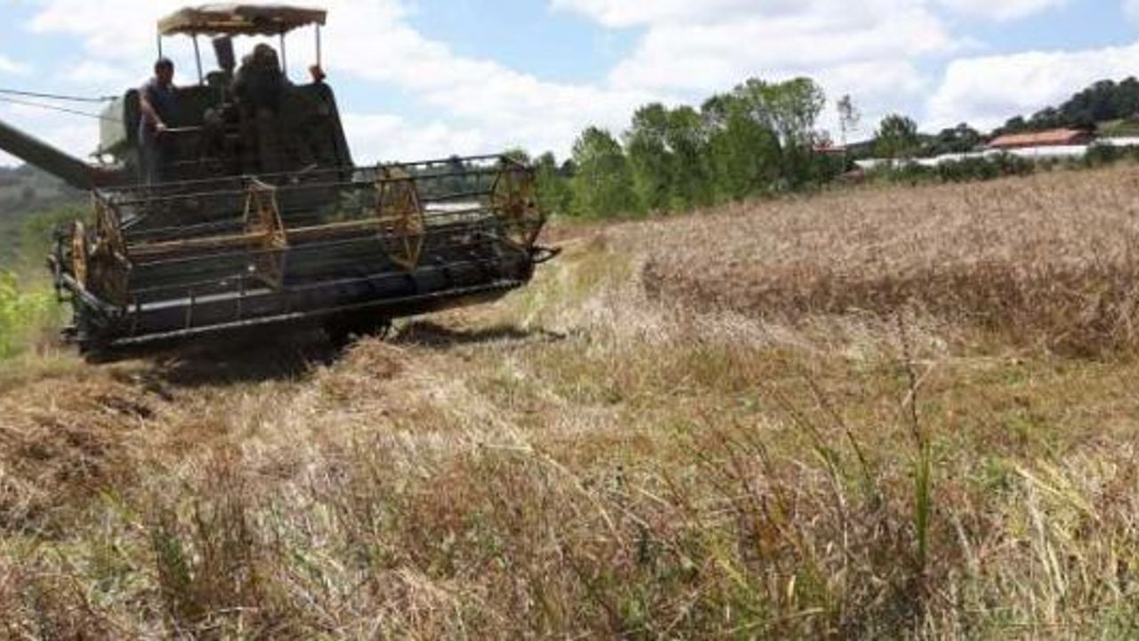 4 BİN 750 ÇİFTÇİYE 2 BİN 100 TON TOHUM DESTEĞİ