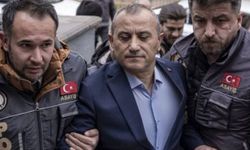 Eski Tunceli Valisi Gülistan Doku Soruşturmasında Tutuklandı