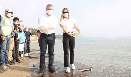 Balıklar bu kez Darıca sahilinden denize salındı