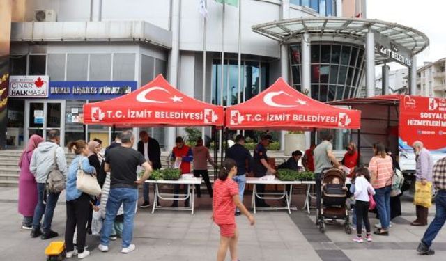 İzmit Belediyesi, vatandaşlara fide dağıttı