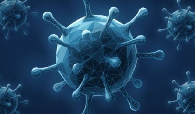 Sakarya’da Maymun Çiçeği Virüsü Şüphesi: Afrika Kökenli Kadın Karantinaya Alındı