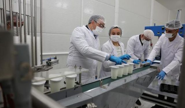 Derince Belediyesi, DERTAŞ Tesisleri'nde Ayran Üretimine Başlıyor
