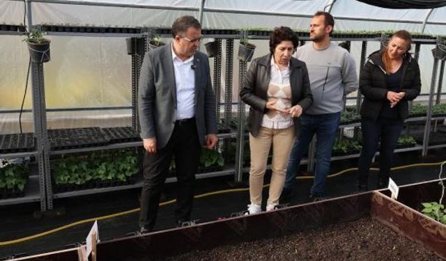 DERİNCE BELEDİYESİ YEREL SERA KURDU