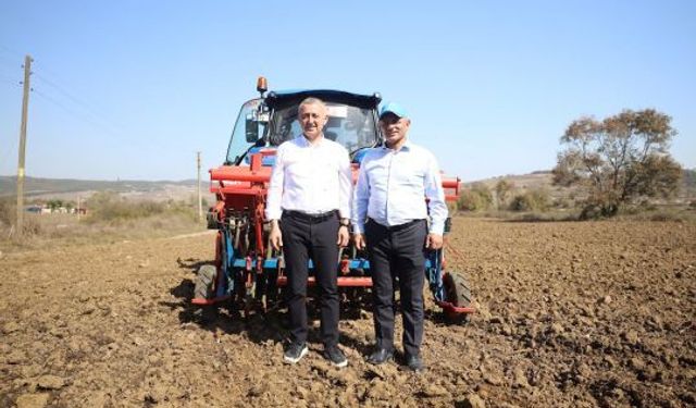 Körfez’de Atıklardan Bereket Doğdu: 5 Ton Buğday Hasat Edildi