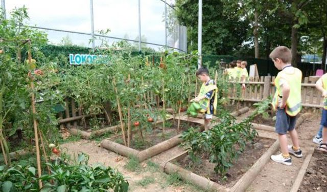  Kocaeli'de Minikler Kendi Ürünlerini Hasat Etmenin Mutluluğunu Yaşadı