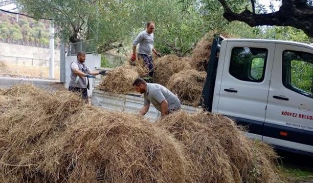 Körfez’de, Yeşil Alanlara Titiz Dokunuş