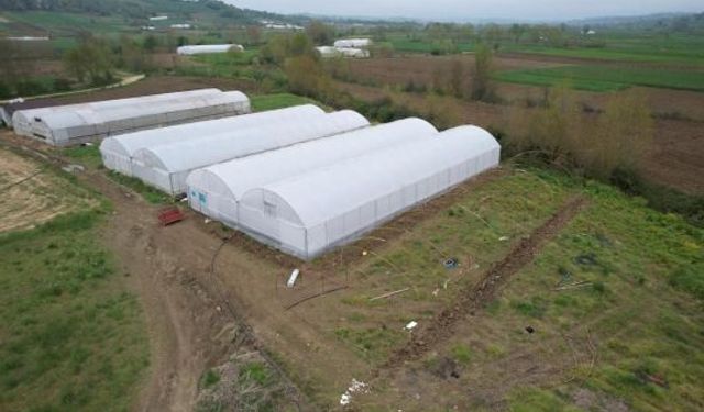 Kocaeli’de Tarıma Güçlü Destek: Modern Seralar Yükseliyor