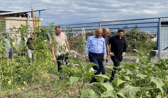 Körfez’de Ata Tohumuyla İlk Hasat Gerçekleşti