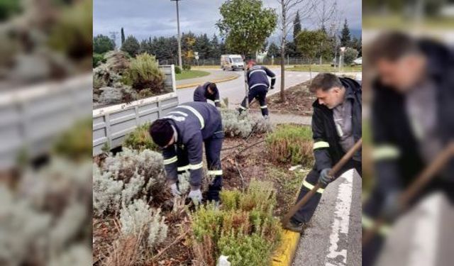 Körfez’de Kış Öncesi Yeşil Alan Seferberliği