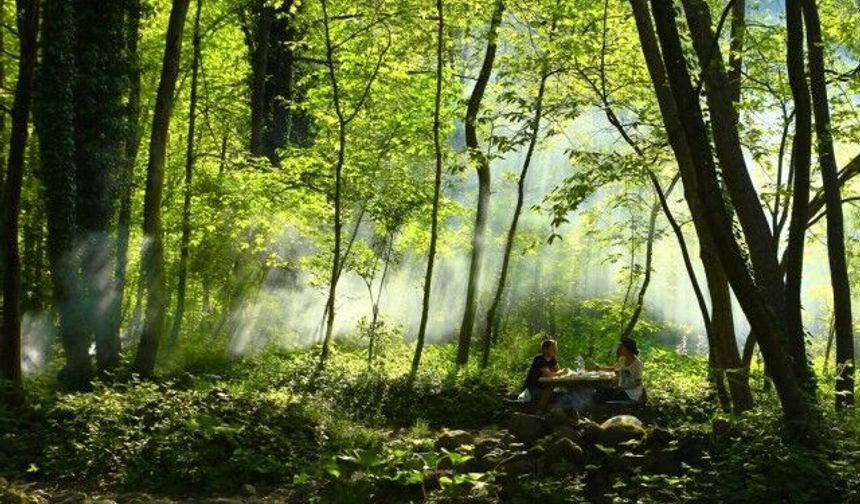 Başiskele Belediyesi'nin düzenlediğği Fotoğraf Yar