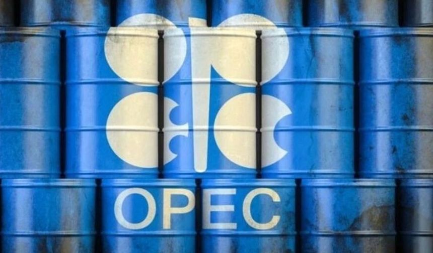 BAE’den OPEC Kararı: Küresel Enerji Dengeleri Değişiyor